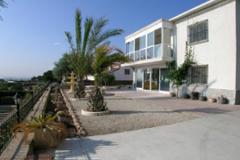 Villa - Finca Crevillente