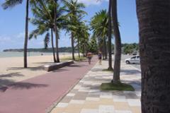 Beach Front Apartment
