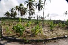 2 Plot of land at Intermares