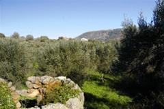 Investment plots in developing area