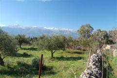 Excellent Value investment plots