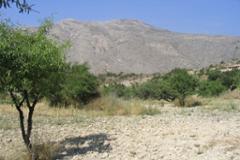 Plot - Land Calpe
