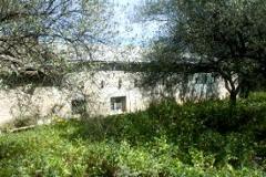 Plot - Land Agullent