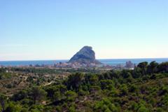 EXCLUSIVE RUSTIC LAND FOR VILLA CONSTRUCTION