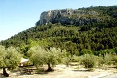 Plot - Land Alicante