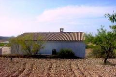 Villa - country house in Alicante
