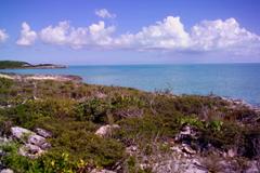 OCEAN & CANAL FRONT LOTS IN PARADISE
