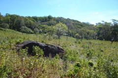 8.5 Hectare Lot, Jaramillo Arriba, Boquete