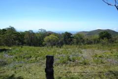 8 hectare lot, Jaramillo Arriba, Boquete