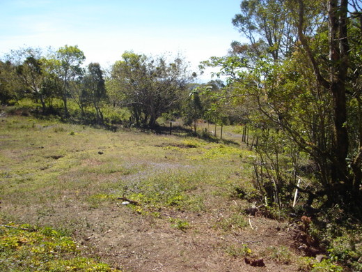 Plot For Sale in Jaramillo Arriba, Boquete, Panama