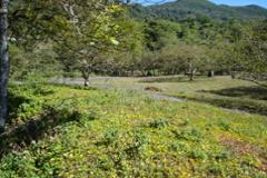 Beautiful highland lot in Boquete, Panama