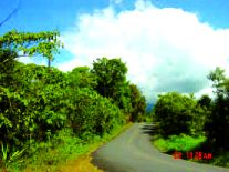 Plot For Sale in Caisan, Bugaba, Panama