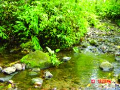 Plot For Sale in Caisan, Bugaba, Panama