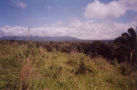 Plot For Sale in Bugaba, Panama