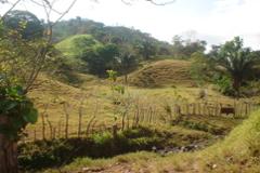 Fam with great development potential in Sona, Veraguas