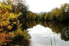 Unique 15 Acre Creekside Land