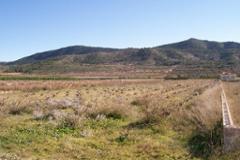 Plot - Land Hondon de los Frailes
