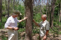 WELL LOCATED, SMART INVESTMENT: SEAVIEW LOTS WITH HARVESTABLE TEAK TREES
