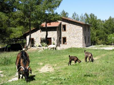 Country Villa For Sale in Uzumlu, Fethiye, Turkey