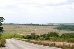 Exclusive land plots in a country setting
