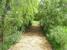 Pathway to Garden : property For Sale image