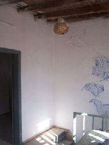 Photo 3 of 
