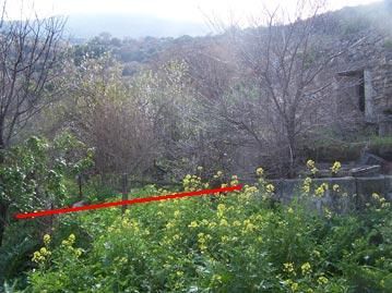 Photo 3 of 