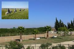 Finca with Equestrian Yard
