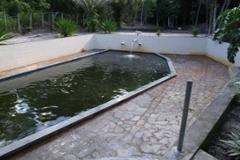 Plot Jacuma