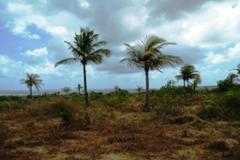 Plot - Land Joao Pessoa