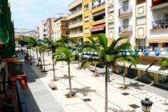 Villa - Finca Benalmadena
