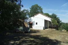 Farm with 14,975 m2 and a habitable house with adjoining buildings