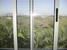 view out of master bedroom : property For Sale image