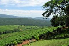 DOORNHOEK EQUESTRIAN ESTATE