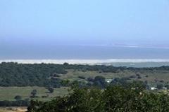 COASTAL GAME FARM