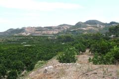 Plot - Land Adsubia, Pego