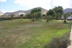 Plot La Oliva