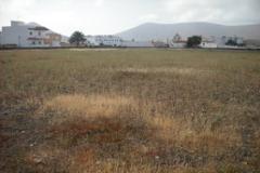 Plot La Oliva