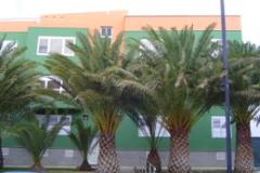 Apartment Ingenio