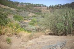 Plot San Mateo