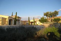 Luxury 5 bedroom villa with pool
