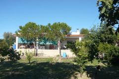 Villa Busot