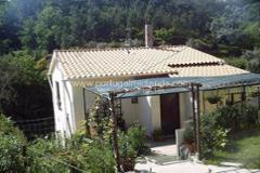 Farm with 2 bed house recently renovated with 6,132 m2 of land in Central Portug...