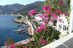 Land for Sale on Tilos Island, Greece (Ref: A0030)