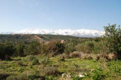 2BDR Off-plan Stone villa