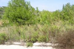 Plot - Land Calpe
