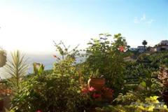 Apartment-plot-villa- Residential Calheta