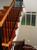 feature stairway : property For Sale image