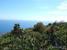 seaview overlooking verdant banana plantation : property For Sale image