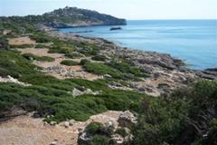 Sea Front Land for Sale in Pefkos, Rhodes (A0114)